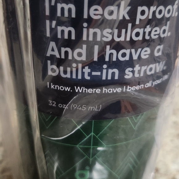 NWT Owala x Wicked Elphaba 32oz FreeSip Water Bottle - Picture 5 of 6